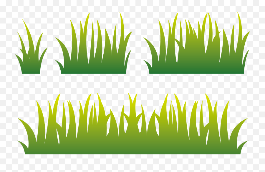 Lawn Euclidean Vector - Paddy Field Png Download 16461000 Green Paddy Field Vector,Field Png