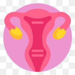 Uterus - Free healthcare and medical icons Icono Utero Png