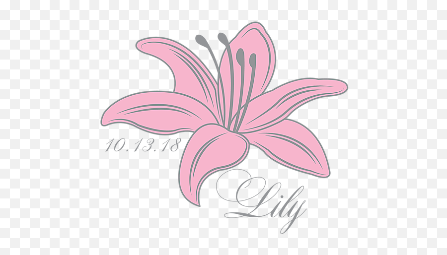 Lily Mitzvah Logo Png Birthday Logos