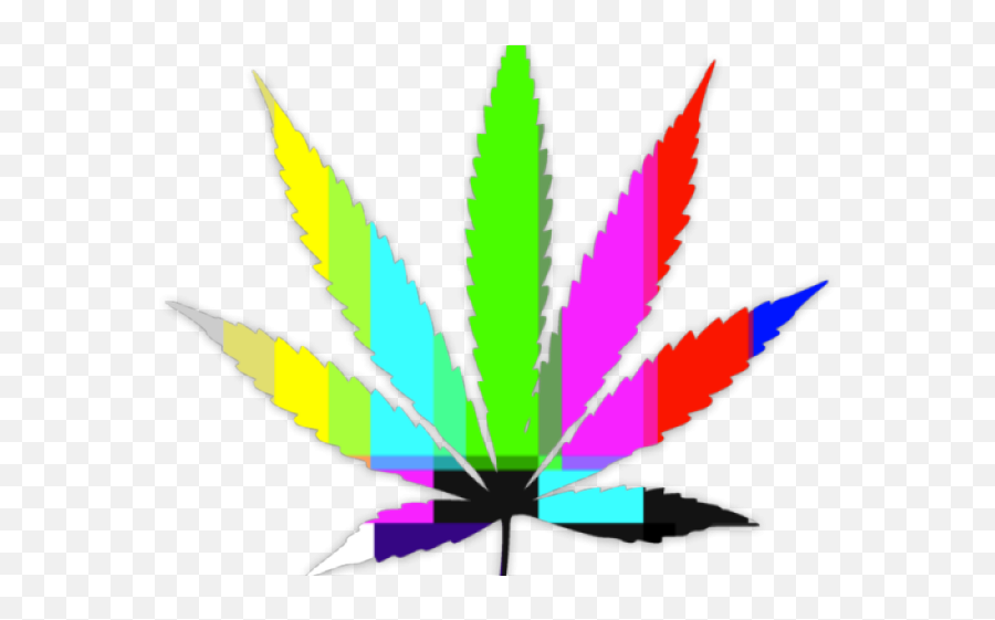 Download Hd Weed Leaf Transparent Png - Marihuana Png,Weed Leaf Png