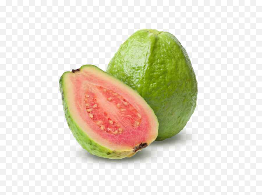 Download Ripe Guava Transparent Png - Stickpng Guava Fruit,Fruit Transparent Background