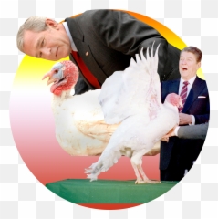 Download Hd George W Bush Transparent Png Image - NicePNGcom Turkey