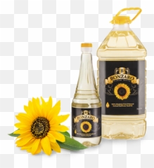 Db - Logo Manzaro Png,Sunflower Logo