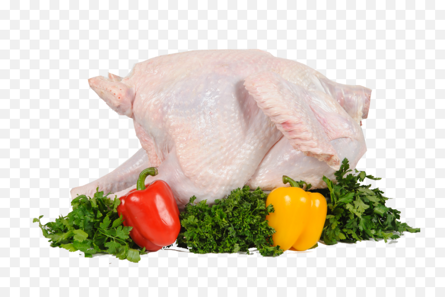 Turkey Png Images Free Download - Turkey Meat Png,Cooked Turkey Png