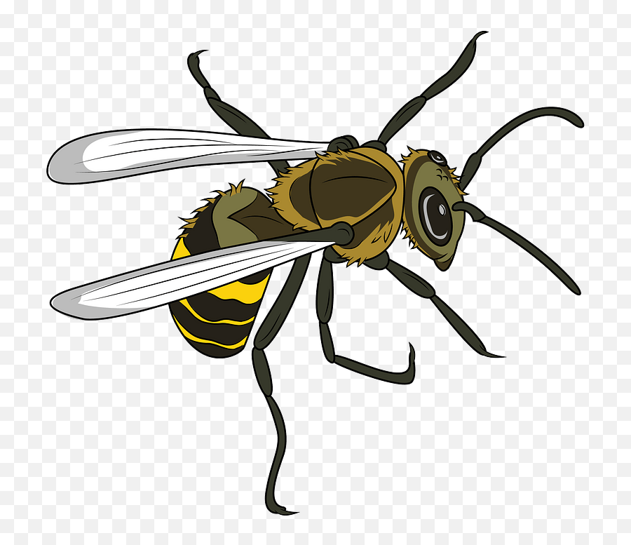Clipart - Insects Png,Hornet Png