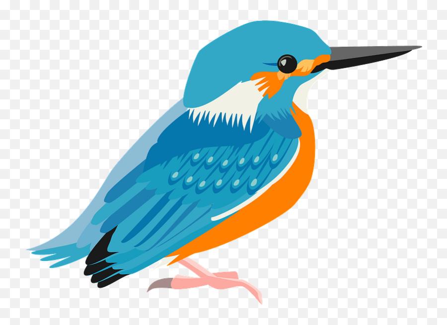 Common Kingfisher Bird Clipart Free Download Transparent - Clipart Image Of A Bird Png,Birds Transparent