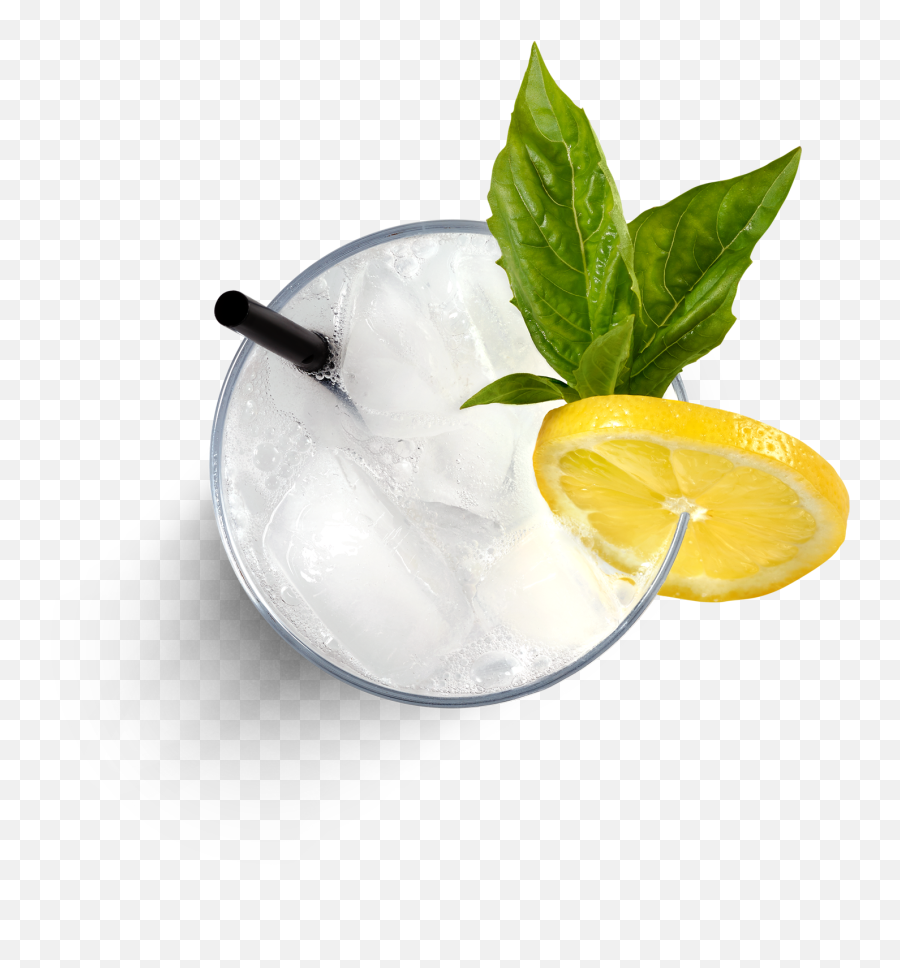 Download V Tom Collins Top - South Side Png,Mojito Png