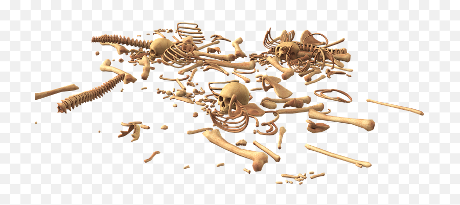 Skeleton Png Images - Free Png Library Transparent Bone Pile Png,Skull And Crossbones Transparent Background
