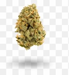 Strains - Delta Mantra Language Png,Weed Nugget Png