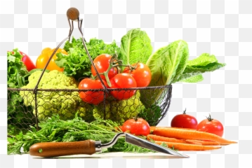 free transparent vegetables transparent background images page 1 pngaaa com free transparent vegetables transparent