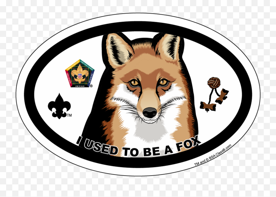 Old Logo Wood Badge Fox Oval Magnet - Boy Scouts Of America Png,Red Fox Logo