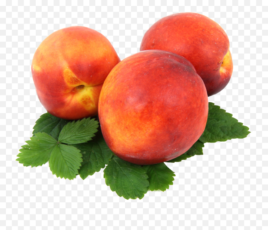 Download Peach Png Image For Free - Aadu Fruit,Peach Transparent