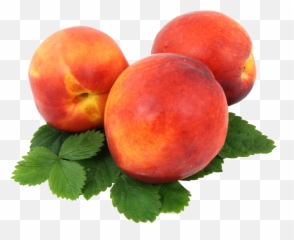 Download Peach Png Image For Free - Aadu Fruit,Peach Transparent