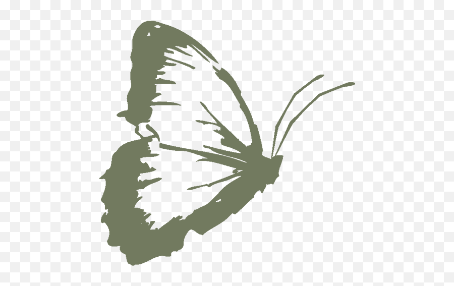Butterfly - Butterflies Png,Star Butterfly Icon