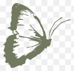 Butterfly - Butterflies Png,Star Butterfly Icon