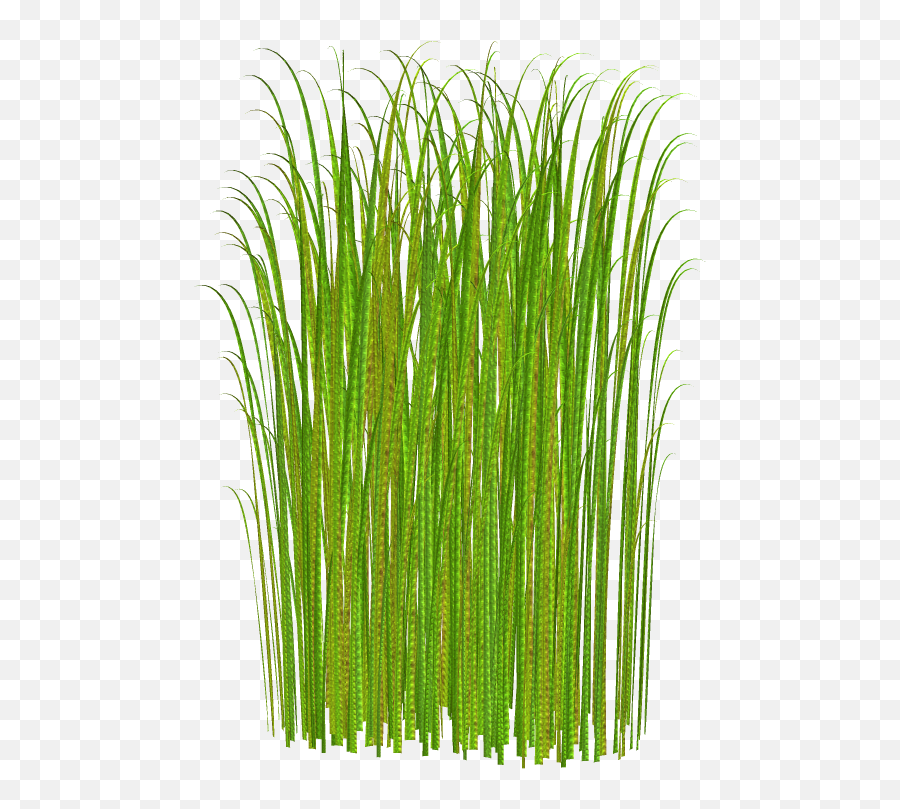 Png Grass Clipart Transparent - Tall Grass Clip Art,Grass Clipart Transparent