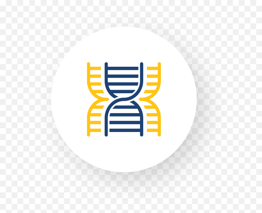 Triple Gene Williams Media Marketing Agency - Preimplantation Genetic Diagnosis Icon Png,Triple Icon