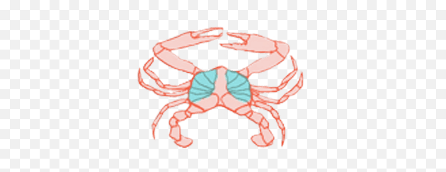 Our Product - Cancer Png,Crab Icon