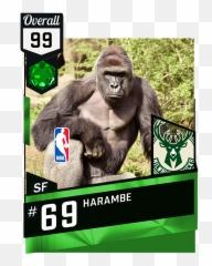 Harambe - Album On Imgur Gorilla Harambe Png,Harambe Transparent