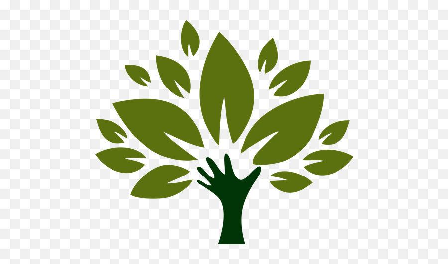 Best Premium Green Tree With Roots Illustration Download In - Arboles Para Power Point Png,Green Tree Icon