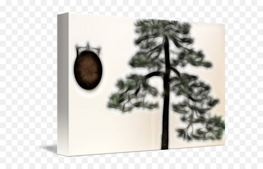 Bonsai Gong By Paul Coco - Picture Frame Png,Bonsai Tree Png