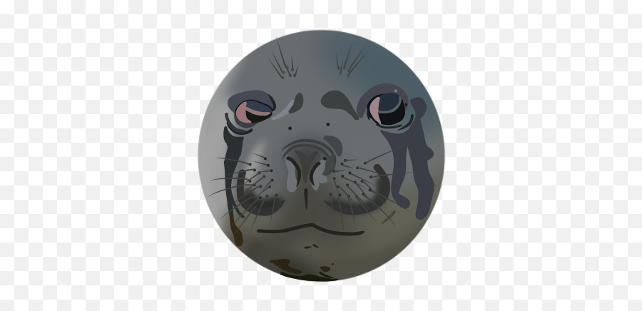 Download Hd Another Crying Seal Meme Redrawn I Like Doing - Cartoon Png,Crying Tears Png