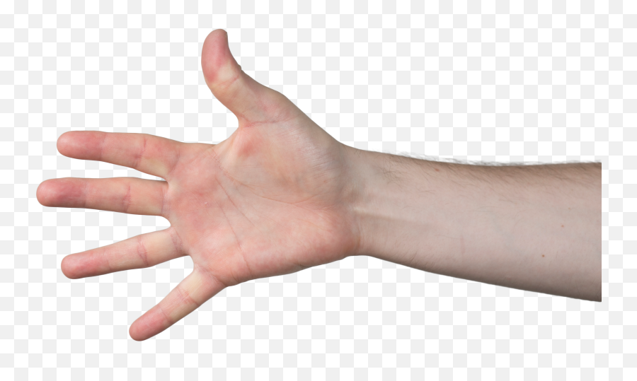 Arms Reaching Out Transparent Png - Reaching Hands Transparent Background,Hand Reaching Out Transparent