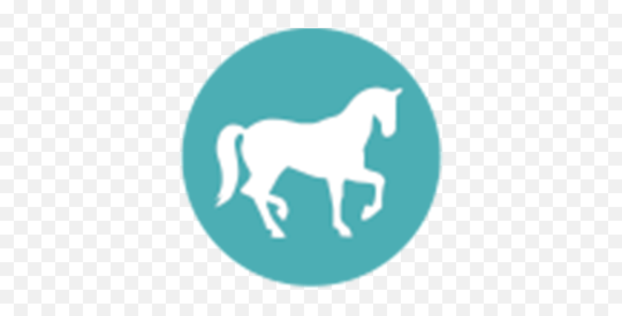 Riding Lessons Transparent PNG