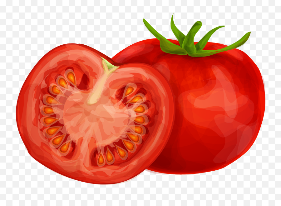 Download 15 Tomato Clipart Png For Free - Tomato Clip Art,Tomato Clipart Png