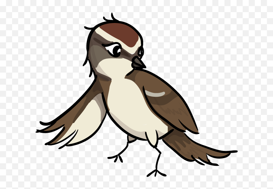 Download - Sparrowpngtransparentimagestransparent Clip Art Sparrow Png,Sparrow Png