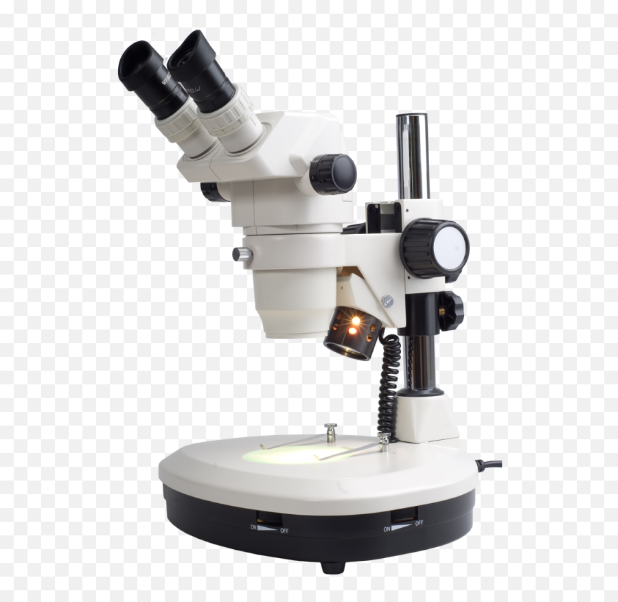 Microscope Png Image - Stereo Microscope Png,Microscope Transparent