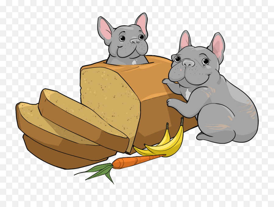 Get All 3 Henry U0026 Penny Breakfast Treats You Wouldnu0027t - Chinchilla Png,Chinchilla Png