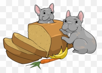 Get All 3 Henry U0026 Penny Breakfast Treats You Wouldnu0027t - Chinchilla Png,Chinchilla Png
