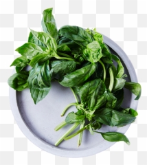 Iga - Recipeingredientbasil Iga Recipes Parsley Png,Basil Png