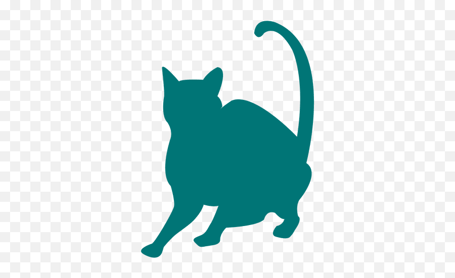 Cat Icon Transparent - Short Haired Siamese Silhouette Png,Cat On Transparent Background