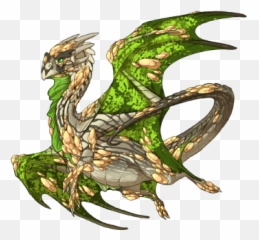 Tiny Dragon Survey Share Flight Rising - Nocturne png