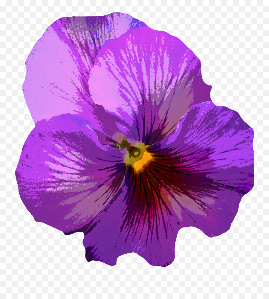 Png Images Violets - Purple Flower Blossom Png,Violets Png