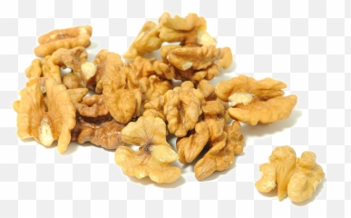Hd Walnut Png High - Peeled Walnut Transparent,Walnut Png