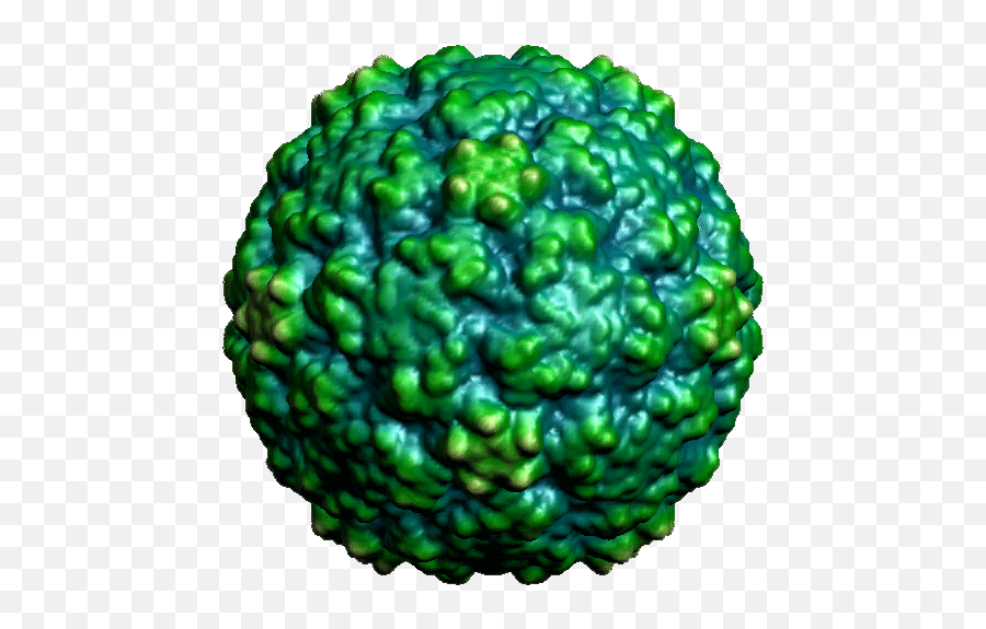 Virus Transparent Measles Picture - Gif No Background Virus Png,Virus Transparent
