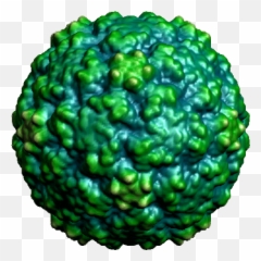 Virus Transparent Measles Picture - Gif No Background png