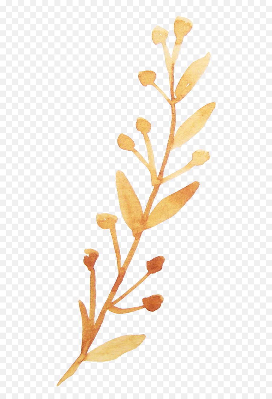 Download Hd Twig Vector Watercolor - Png Orange Watercolor Vector,Twig Png