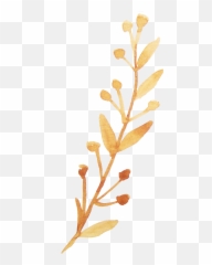 Download Hd Twig Vector Watercolor - Png Orange