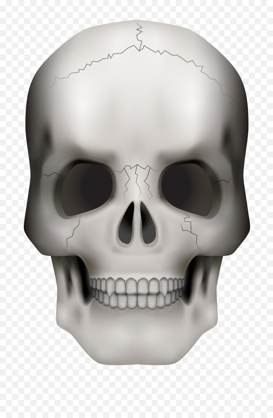 Transparent Background Skull Png - Transparent Background Skull In Png,White Skull Png