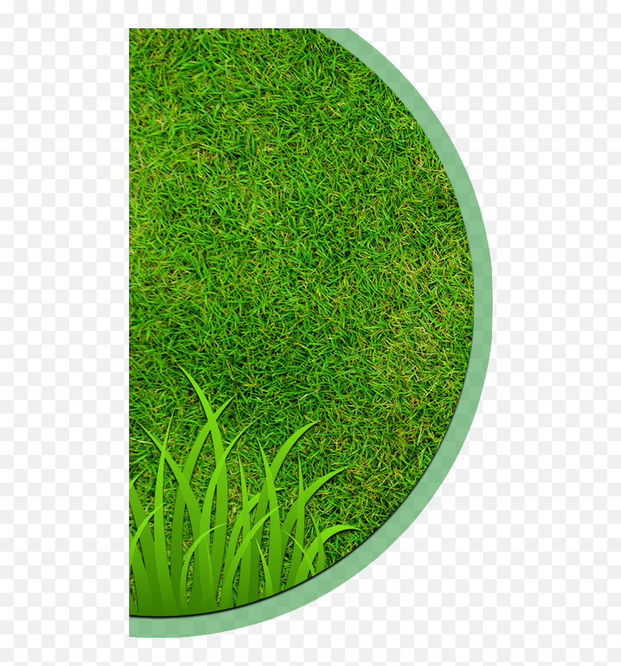 Landscaping Clipart Hedge Cutting - Circle Png,Hedge Png