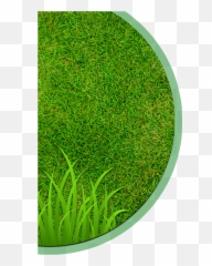 Landscaping Clipart Hedge Cutting - Circle Png,Hedge Png