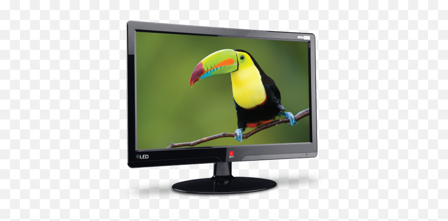 Iball Sparkle 2151 215 Inch Crystal Clear Led Monitor - Iball Sparkle Led Monitor Png,Transparent Monitors