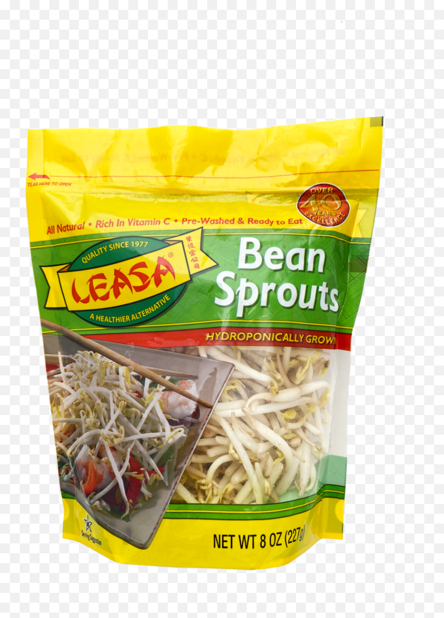 Bean Sprouts U2014 Leasa - Mung Bean Sprout Png,Sprout Png