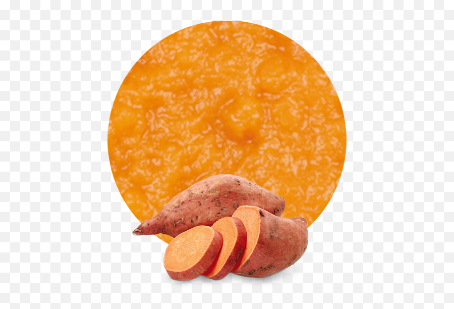 Sweet Potato Puree - Manufacturer And Supplier San Panchito Hablando Mexicano Png,Sweet Potato Png