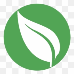 Leaf Icon Png Images U2013 Free Vector Psd Clipart - Green