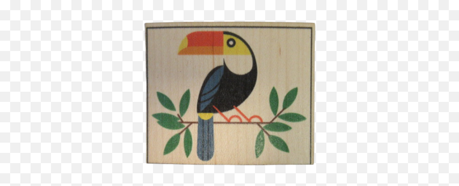 Toucan - Picture Frame Png,Toucan Png